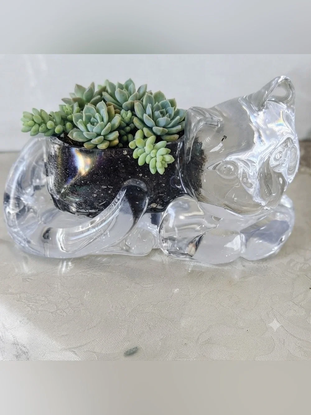 Vintage Large Clear Acrylic Cat Vase - Planter 1980s
